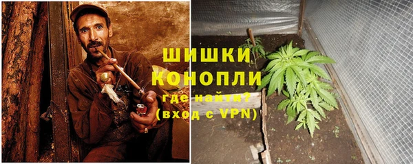 ECSTASY Дмитриев
