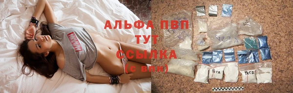 ECSTASY Дмитриев