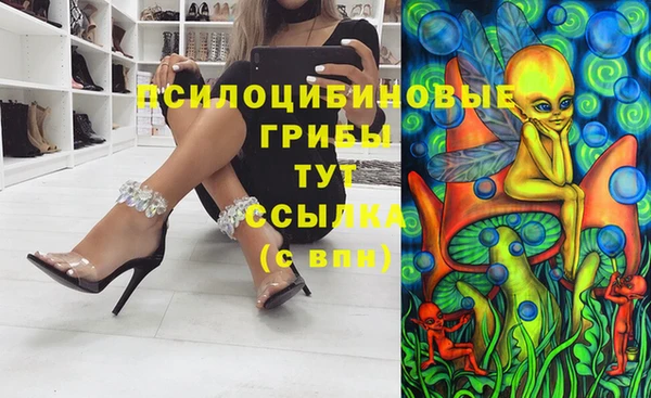 ECSTASY Дмитриев